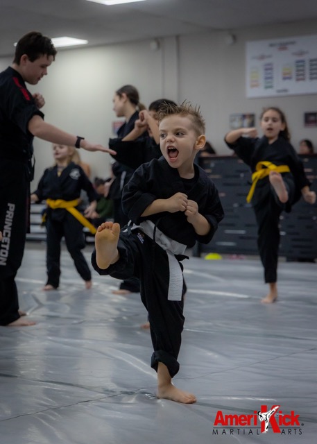 Little Dragons student executing crisp side kick
